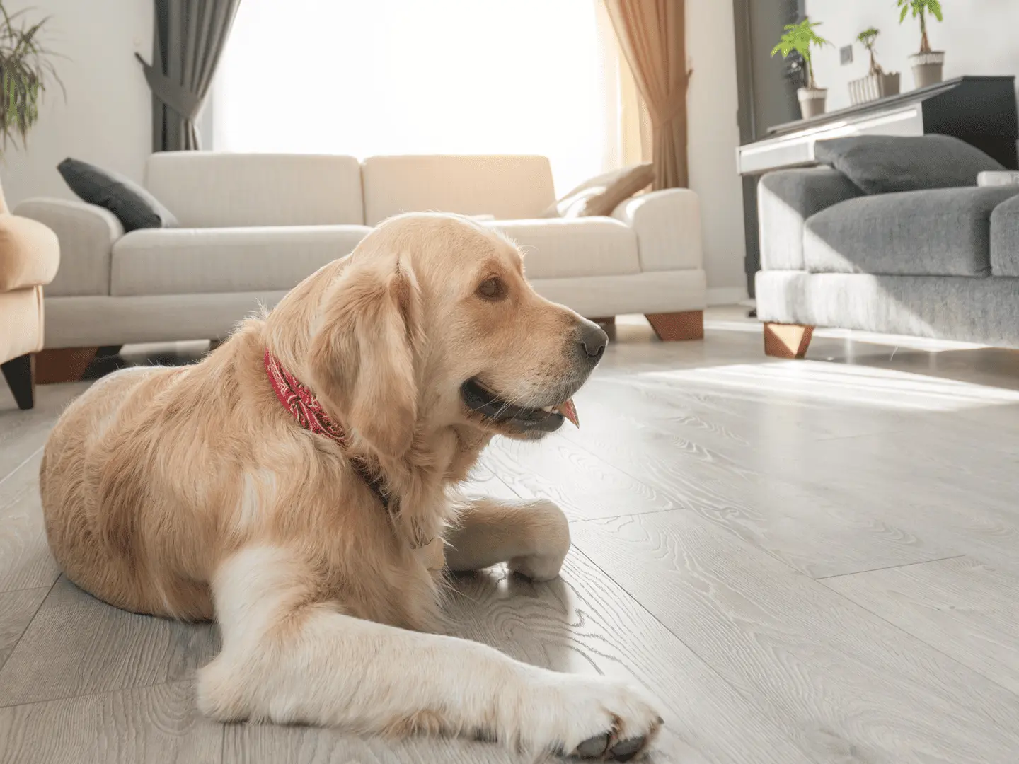Residential Warranty 30 Years